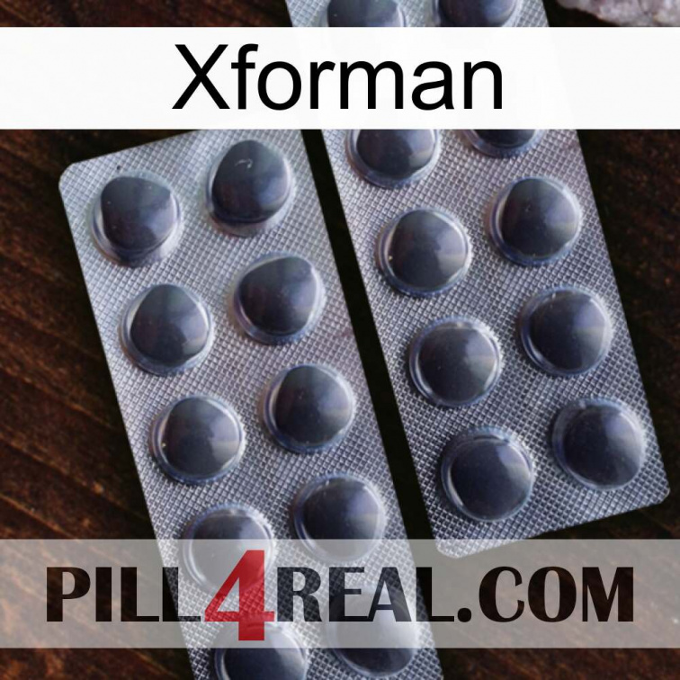 Xforman 31